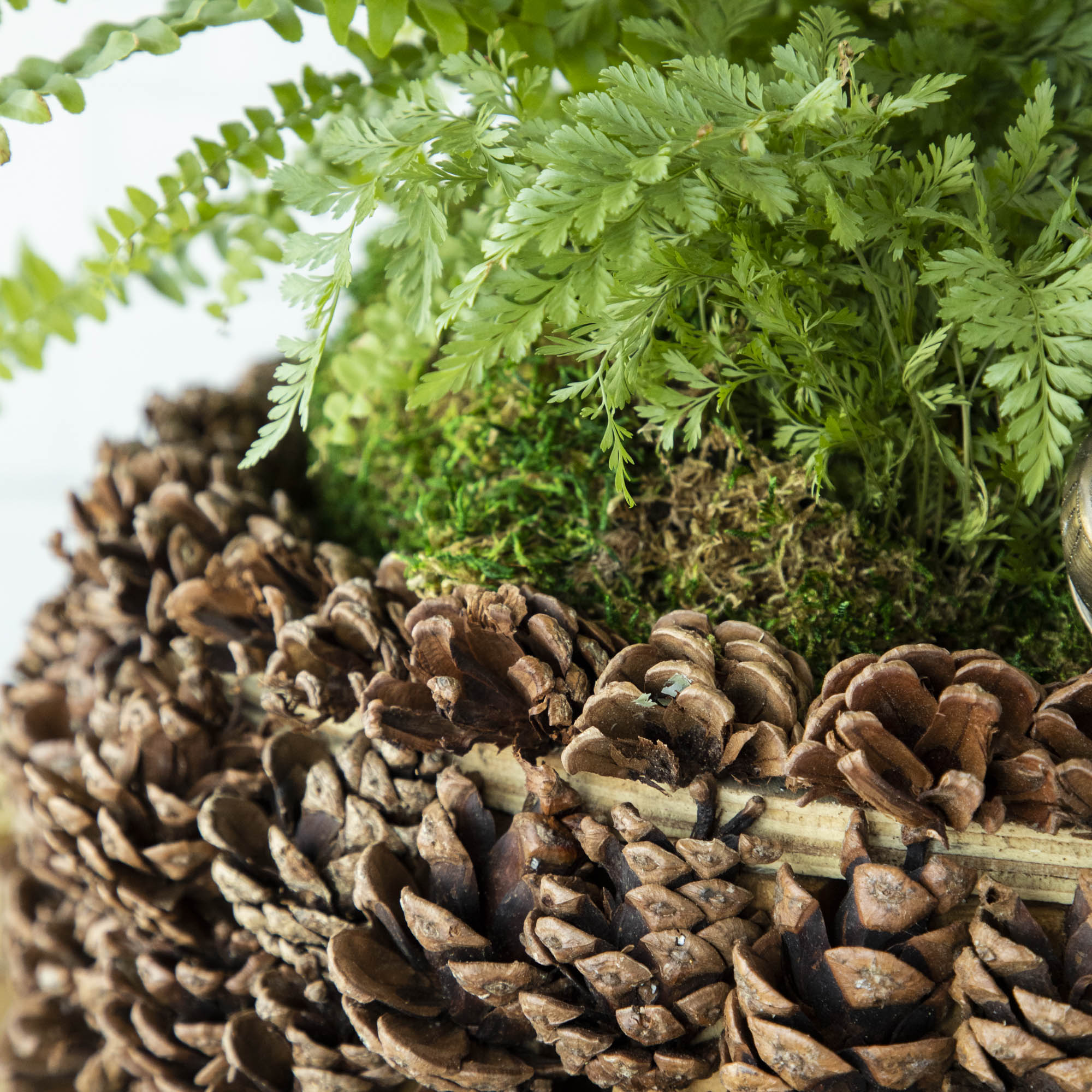 A close up of the pinecone bowl edge to show the pinecone details.