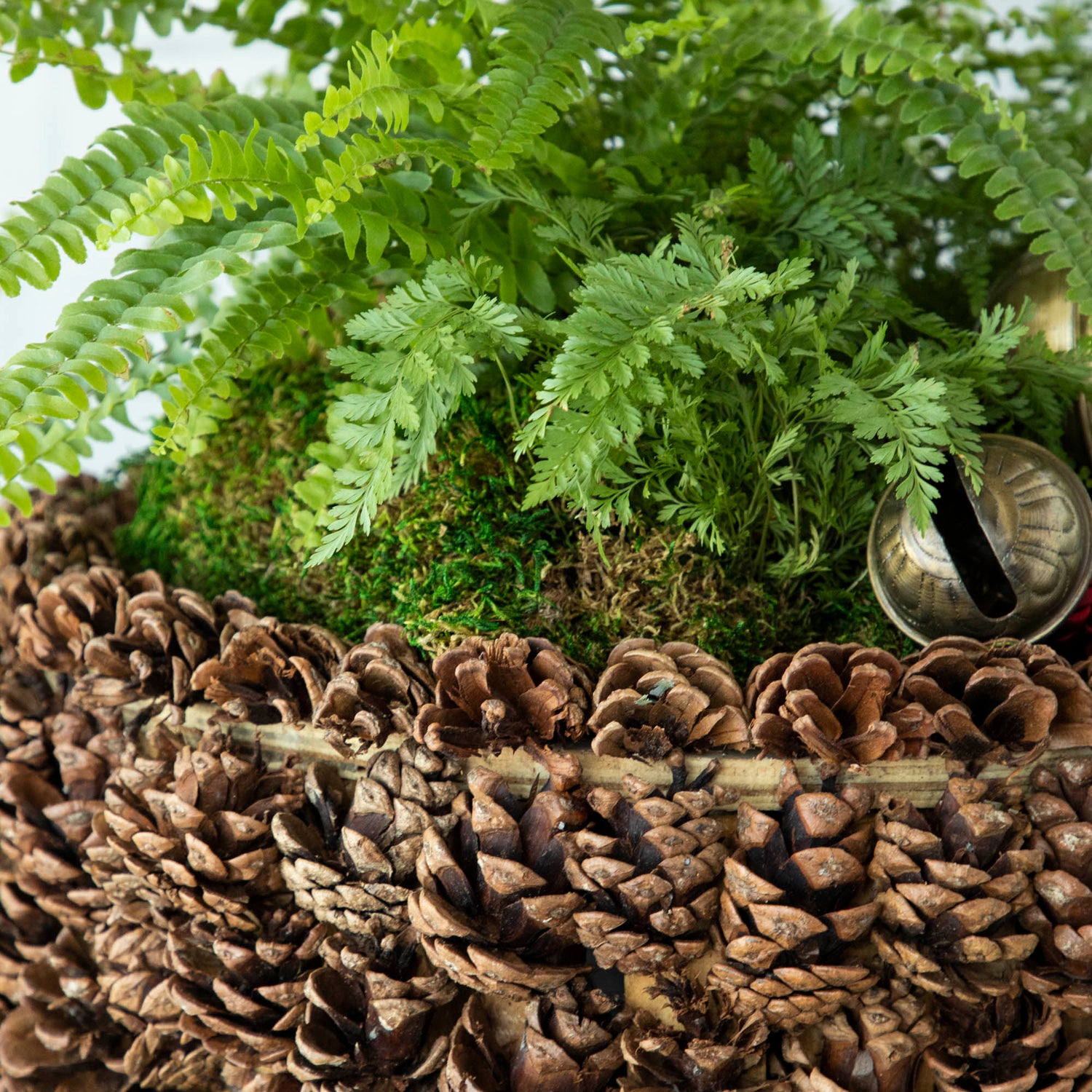 A close up of the pinecone bowl edge to show the pinecone details.