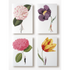 A set of four In Bloom Notecards 1, Set of 8 with beautiful botanical illustrations of flowers on them by Hester & Cook.