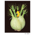 A yellow bird perched on a stalk of fennel, printed by Hester & Cook.