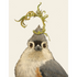 Artwork illustration of a bird with a whimsical crown of green foliage on its head by Hester & Cook.