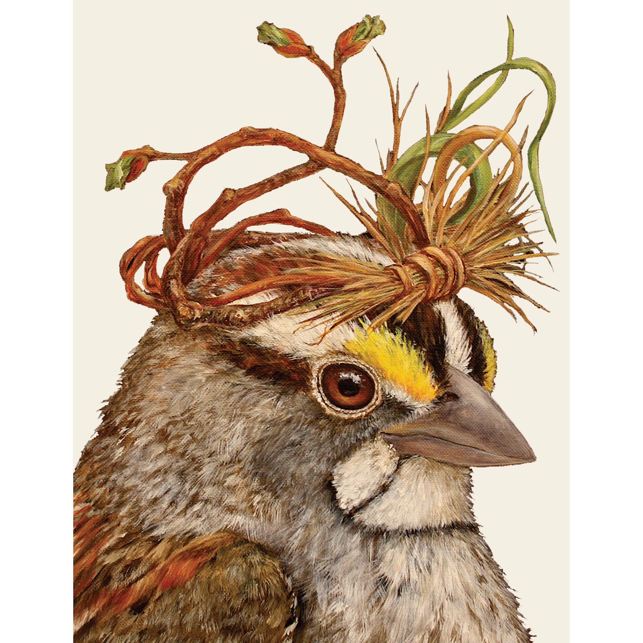A bird with a crown on its head, depicted in Hester &amp; Cook&