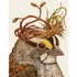 A bird with a crown on its head, depicted in Hester & Cook&