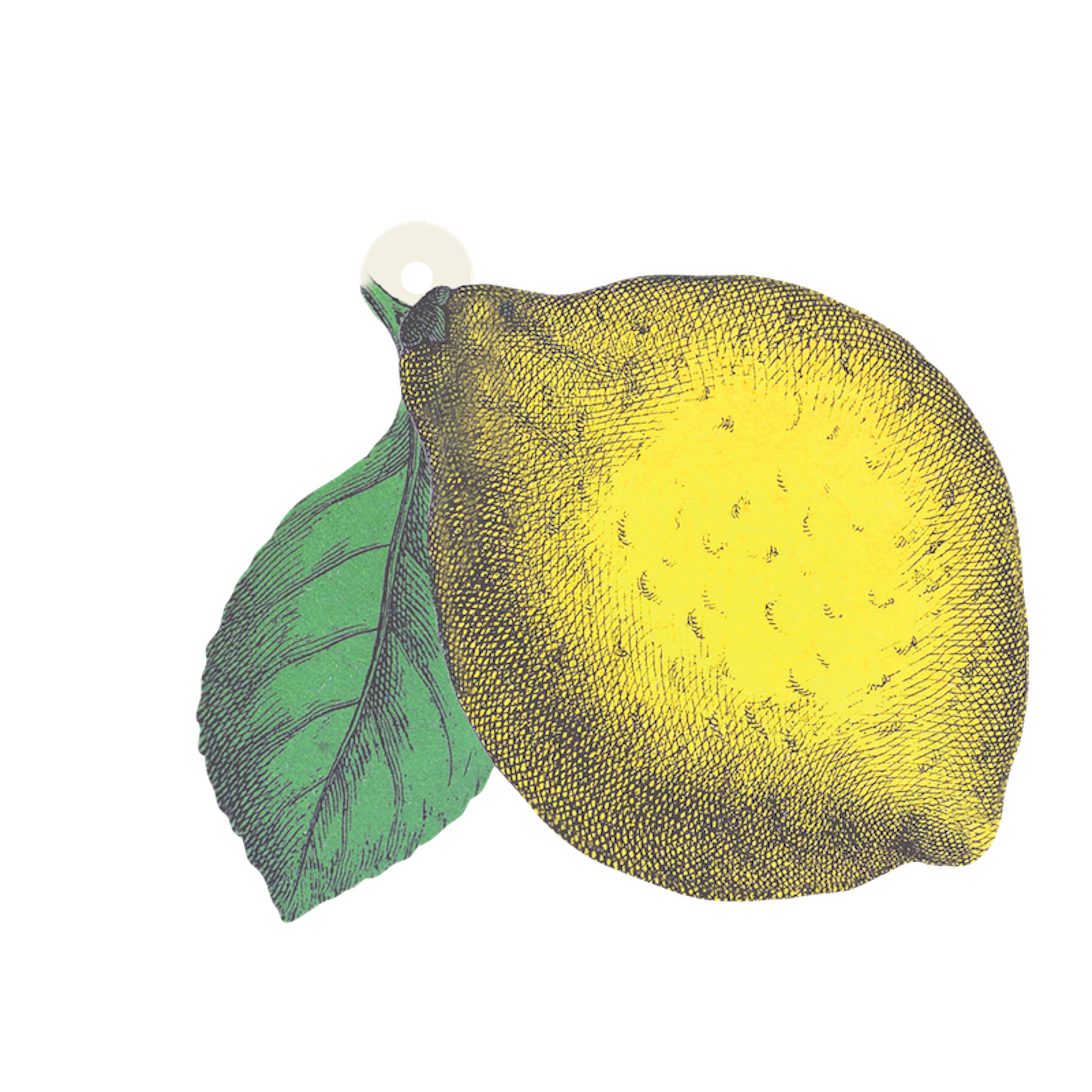 A Lemon Gift Tag with a leaf on a black background, perfect for Hester &amp; Cook Lemon gift tags design.
