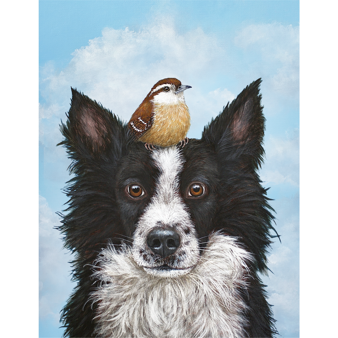 A black and white dog with a bird on its head, featured in Hester &amp; Cook&