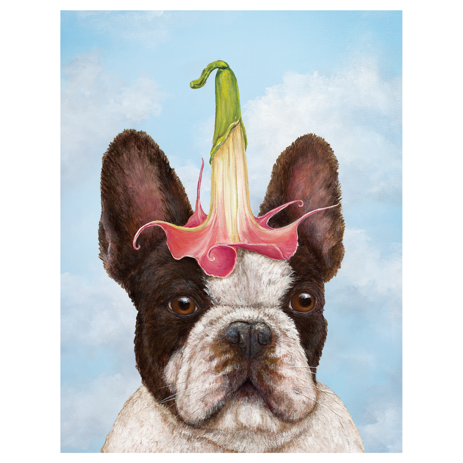 A french bulldog with a flower on his head, showcased in Hester &amp; Cook&
