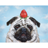 A Hester & Cook Strawberry Pug adorned with a strawberry on his head, perfect for a unique greeting card.