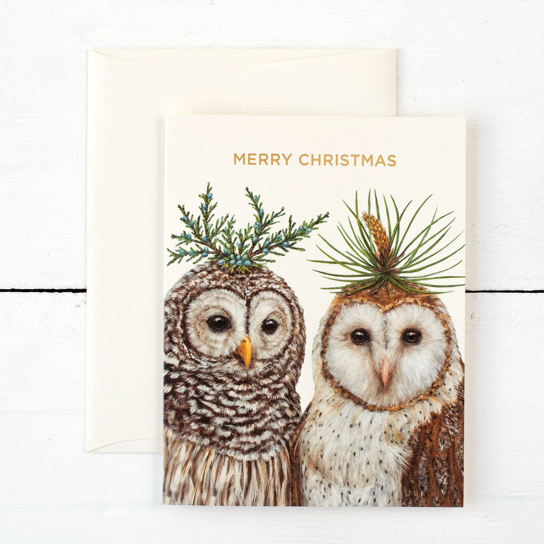 Winter Owls Boxed Set Cards
