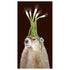 A groundhog with a bunch of onions on his head, featured in a Hester & Cook Phil&