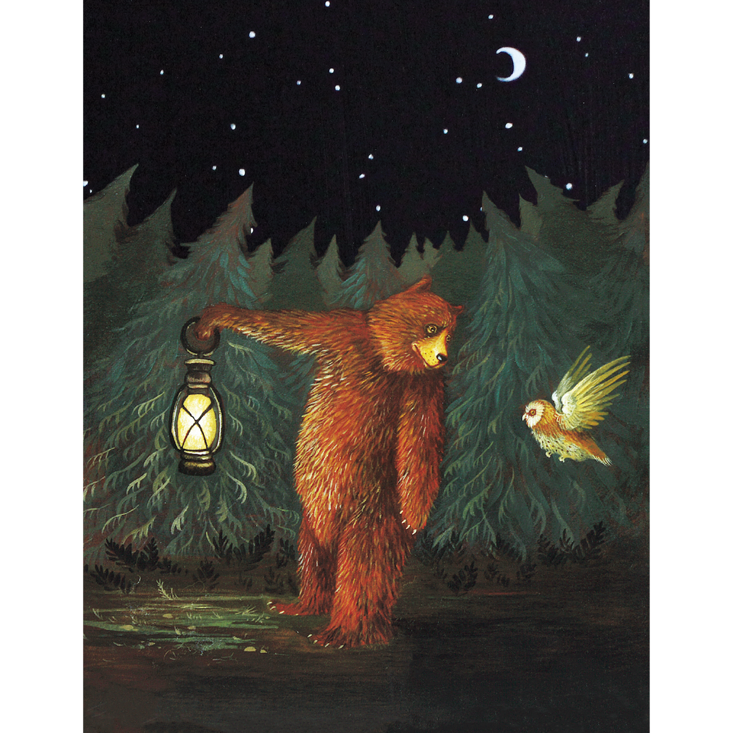 A whimsical illustration of a brown bear carrying a lit lantern through the dark forest under the starry night sky, turned to look at an owl flying into the scene.