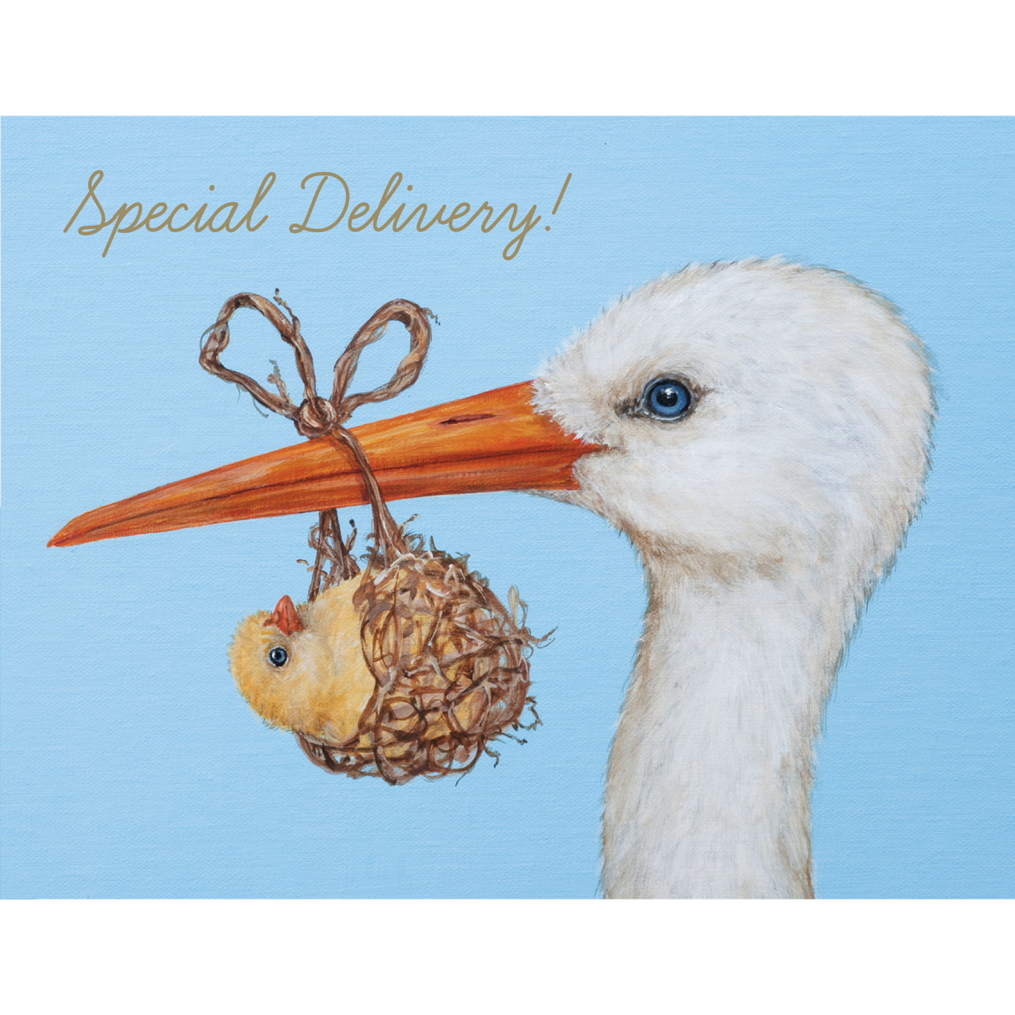 A Baby Stork Card featuring a stork delivering a special bundle of joy from Hester &amp; Cook.