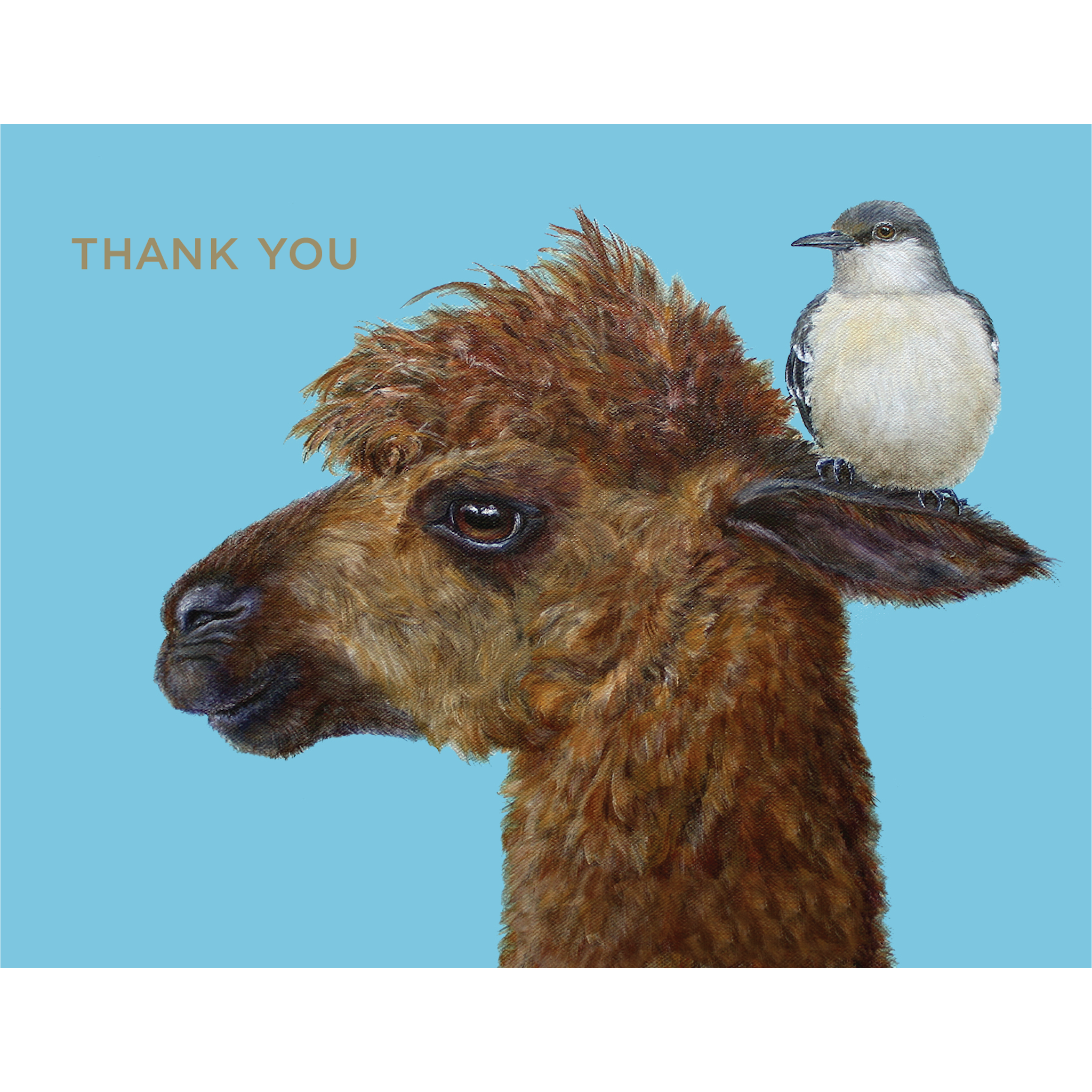 A grateful Hester &amp; Cook alpaca wearing a Thank You Alpaca Card on its head stands against a serene blue background.