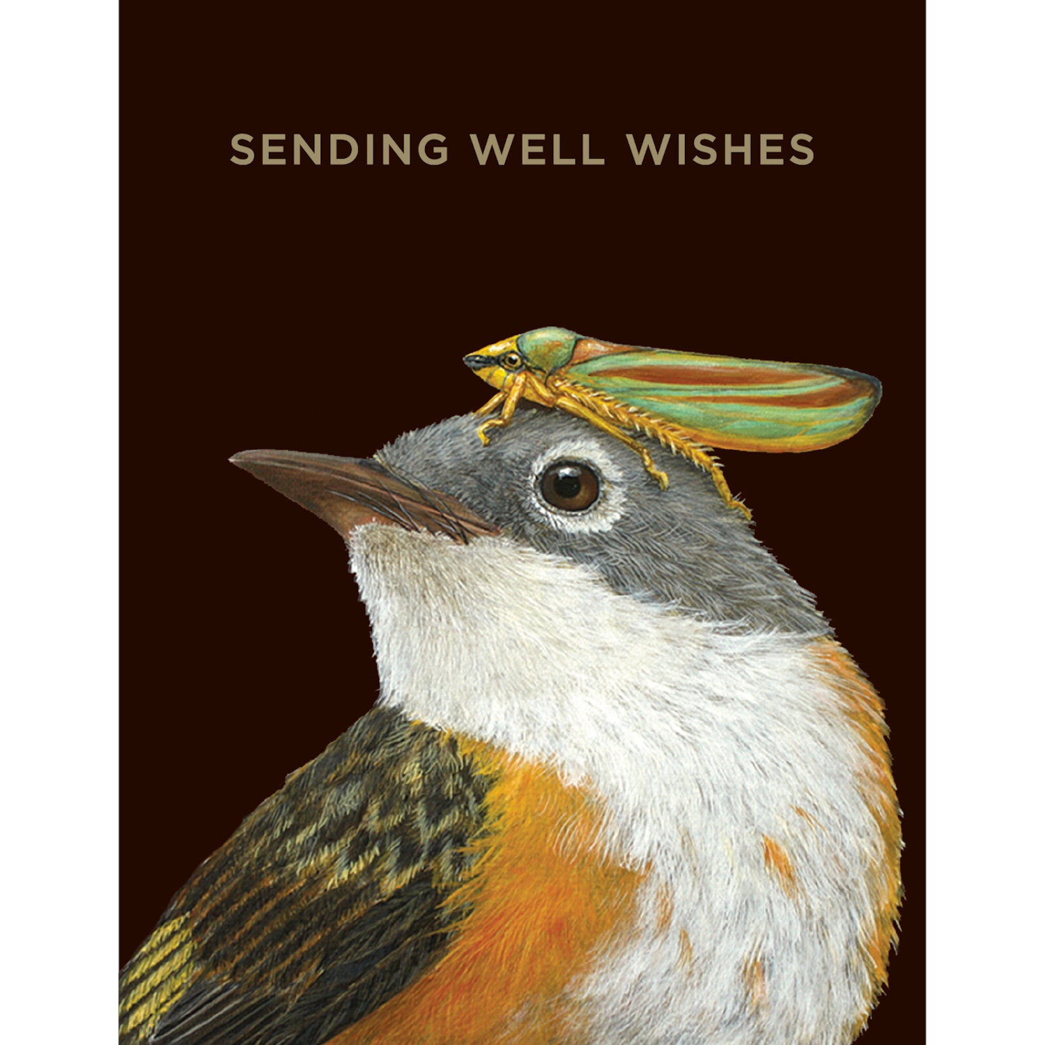 A stunning Well Wishes Warbler Card portraying a Warbler with a gold foil beetle on its head, beautifully conveying a message, brought to you by Hester &amp; Cook.