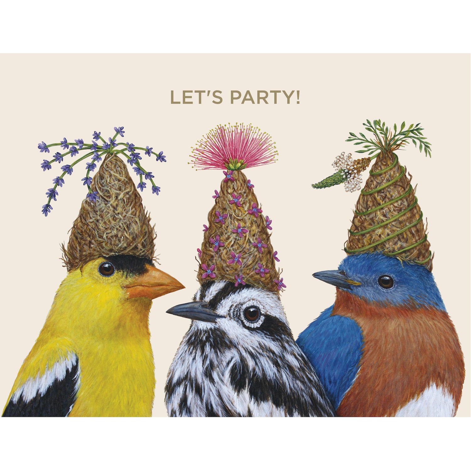 Three birds wearing party hats with the distinctive artwork of Hester &amp; Cook&