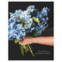 A photo of a pair of manicured hands holding a bouquet of blue hydrangeas on a black background, with "wishing you beautiful days" printed in the lower right corner in white.