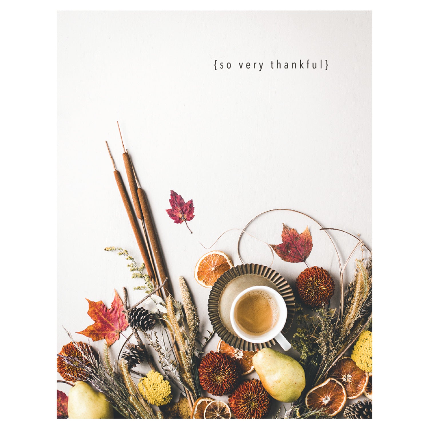 A photo of a dense spray of various fall foliage, dried fruits, and a cup of tea packed into the lower third of a white background, with &quot;{so very thankful}&quot; printed across the top of the card.