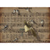 A Hester & Cook sheet music with birds on it and the words "Amazing Grace" - a song filled with God&