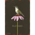 A Blessed Card featuring a hummingbird sitting on a flower, measuring 5" x 7", by David Arms, by Hester & Cook.