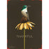 An illustration of a white and green hummingbird resting on a yellow flower on a long green stem over a dark brown background, with "THANKFUL" printed behind the stem.