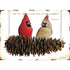 An illustration of two cardinals, a red male and a brown female, resting on a pinecone over a light tan background, with Bible quote "Isaiah 51:11" printed over the birds&