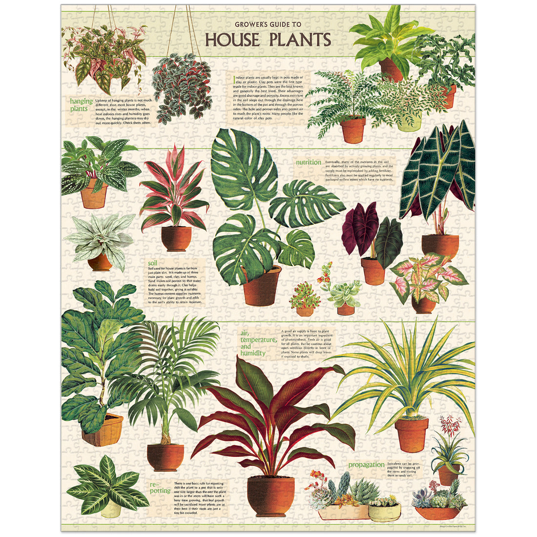 House Plants Puzzle from Cavallini Papers &amp; Co archives.