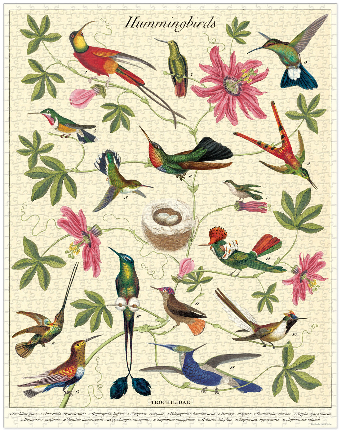 Cavallini Papers &amp; Co Hummingbirds Puzzle with vintage illustrations.