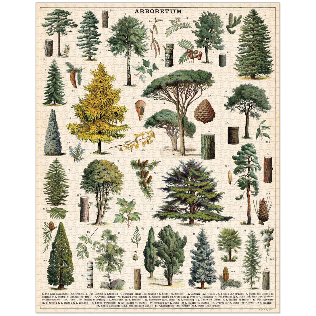 A 1000-piece Arboretum Puzzle featuring arboretum-themed vintage illustrations, packaged in a cylindrical container by Cavallini Papers &amp; Co.