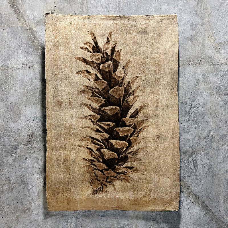 Western White Pine on Amate Sierra Art Print