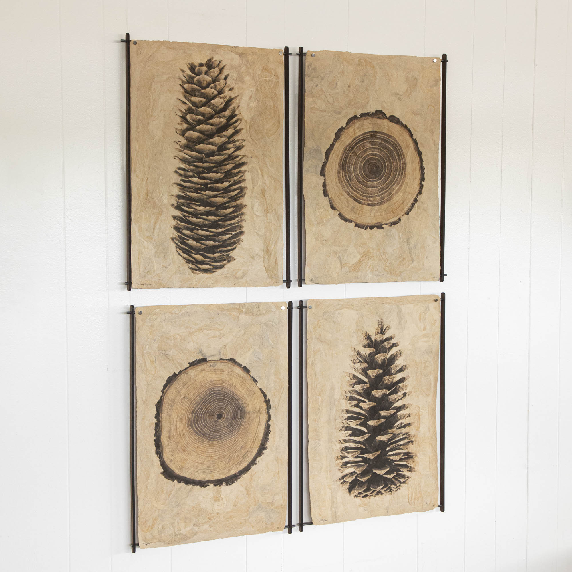 Barloga Barloga Art Prints – Hester & Cook