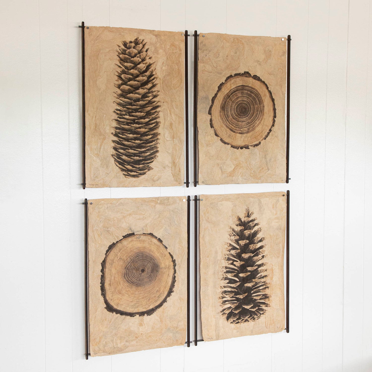Norway Spruce on Amate Sierra Art Print