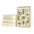 Decorative tins containing Succulents Notecards with a cactus and succulents theme, featuring Cavallini Papers & Co.&