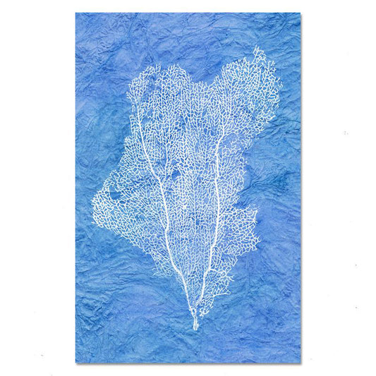 Kozo-Maldives Sea Fan #1 Art Print