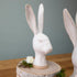 Two enchanting HomArt Matte White Ceramic Hares placed on top of a wooden stump, serving as garden decoration.