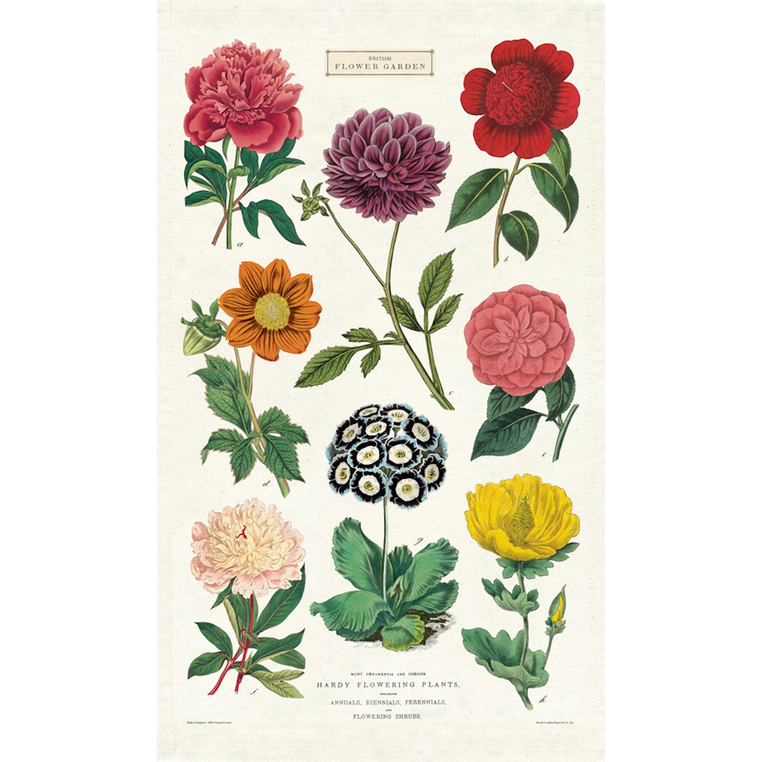 A Cavallini Papers &amp; Co. Botanica Tea Towel of various flowers.
