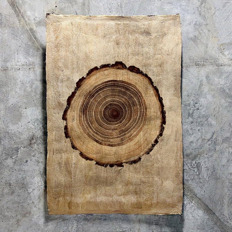 Oak on Amate Sierra Art Print