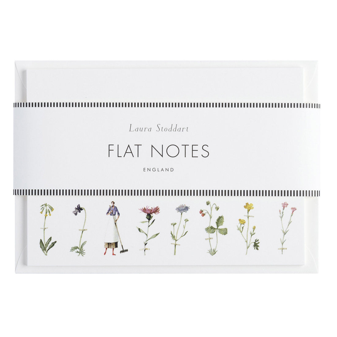 The Laura Stoddart Flat Notes in retail packaging, showing the illustrations across the front with envelopes tucked behind, all wrapped in a white paper belly band. 