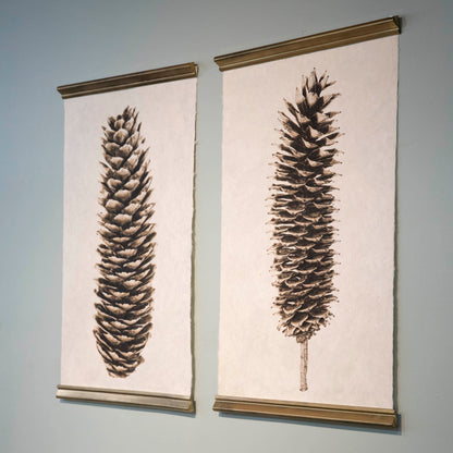 Loblolly Pine Cone Art Print
