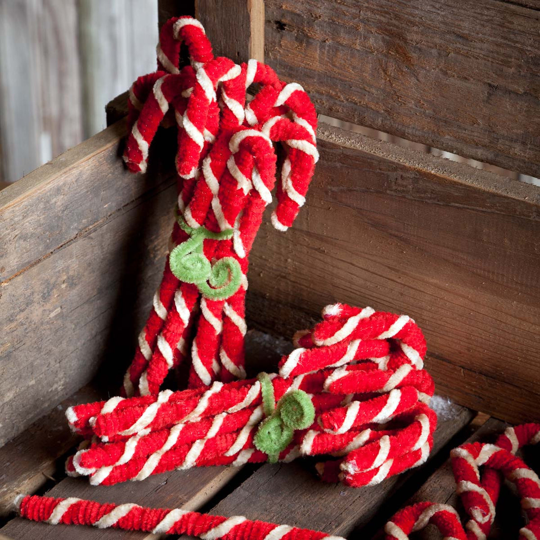 Chenille Candy Cane Set of 12