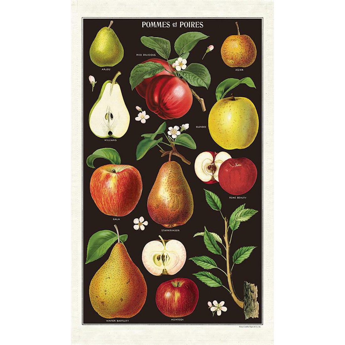 Apples &amp; Pears Tea Towel