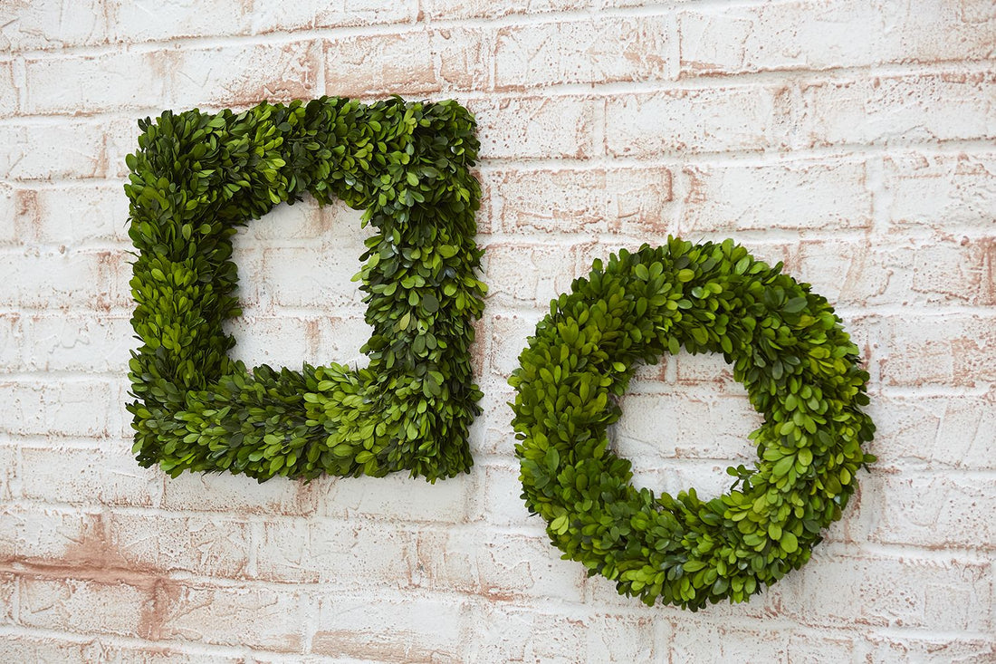 Two Accent Decor Preserved Boxwood Wreaths hanging on a brick wall.