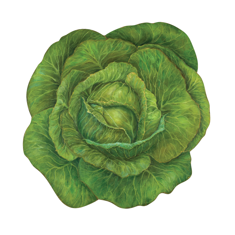 Diecut Cabbage Placemat Hester & Cook