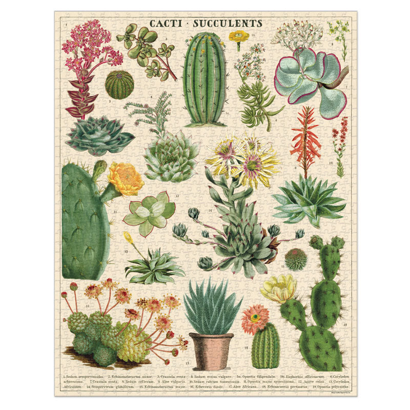 A Cacti &amp; Succulents Puzzle from Cavallini Papers &amp; Co featuring various cacti and succulents, packaged in a cylindrical box.