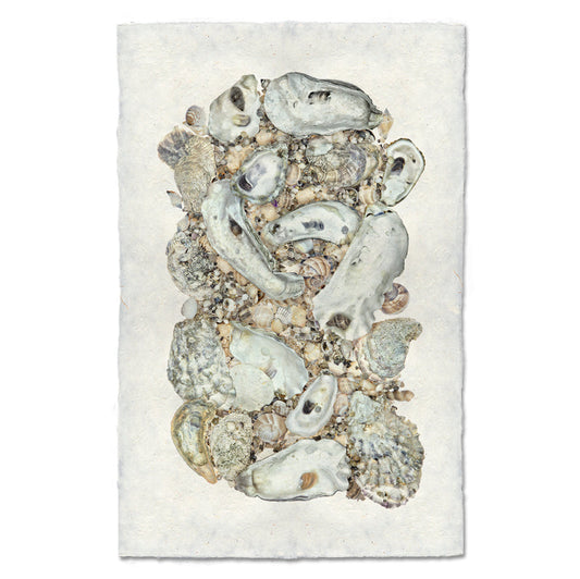 Collective Oysters Art Print