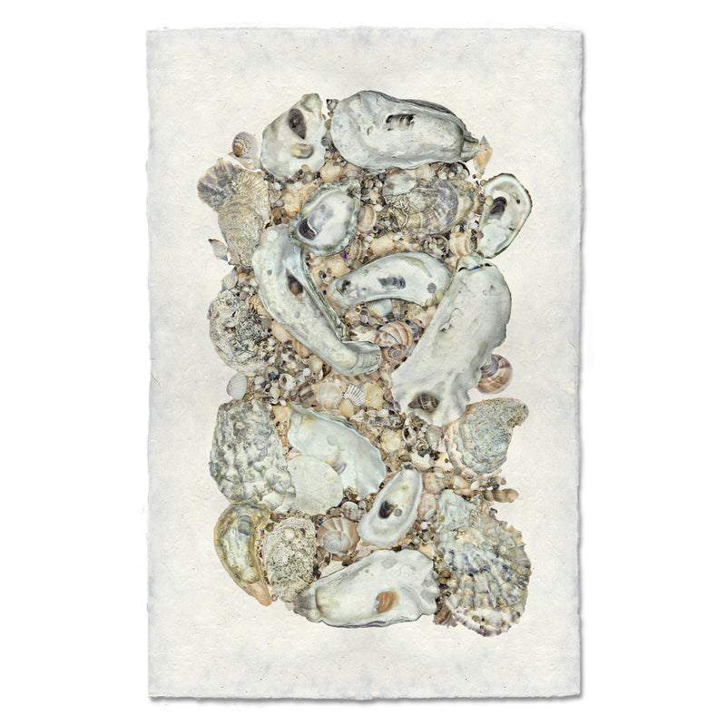Collective Oysters Grand Format Art Print