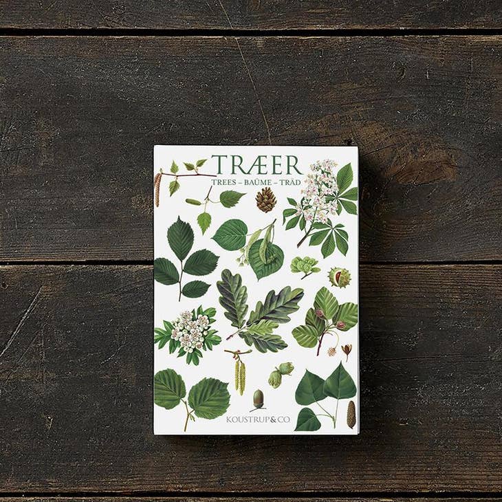 Trees Cards Set of 8