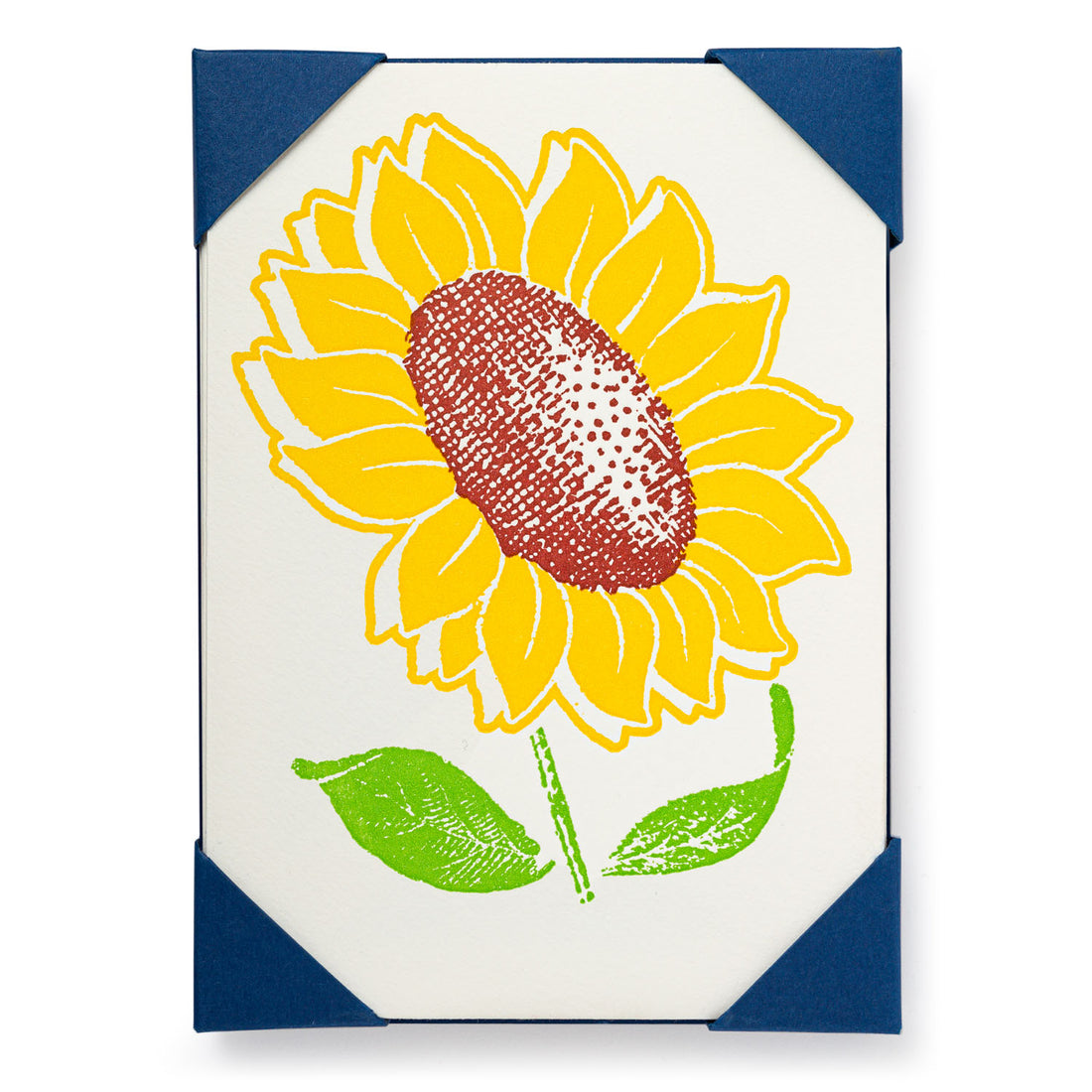 Sunflower Set of 5 Cards