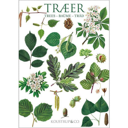 Trees Cards Set of 8