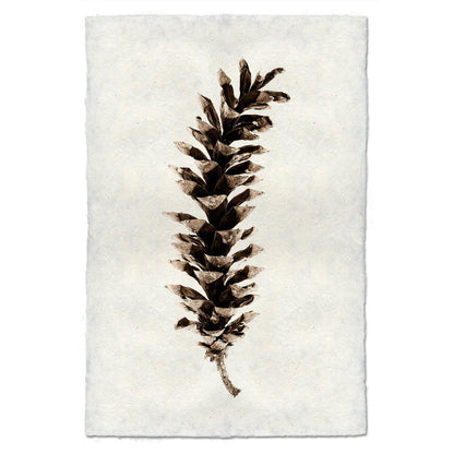 Eastern White Pine on Nepalese Paper Art Print
