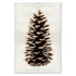 A Loblolly Pine Cone Art Print in sepia on a Nepalese handmade paper background, evoking an old-world look by Barloga Studios.