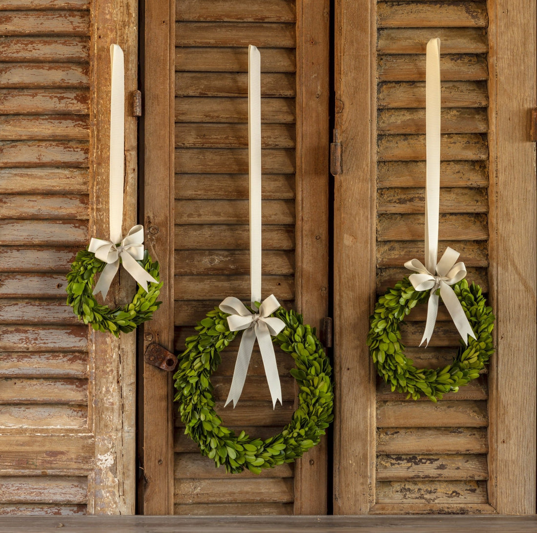 Three fresh Porch View Home Boxwood Wreaths with Cream Grosgrain Ribbon hanging on wooden shutters.